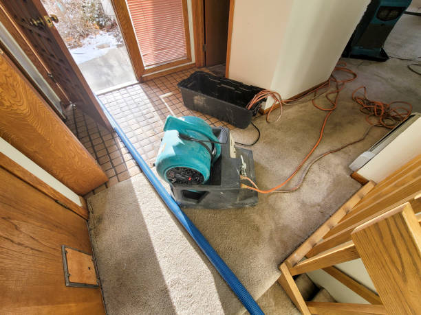 Best 24/7 water damage repair  in Stottville, NY