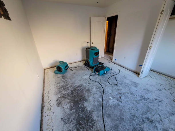  Stottville, NY Water damage restoration Pros