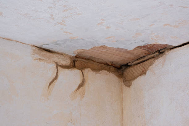Best Sewage cleanup and water damage restoration  in Stottville, NY