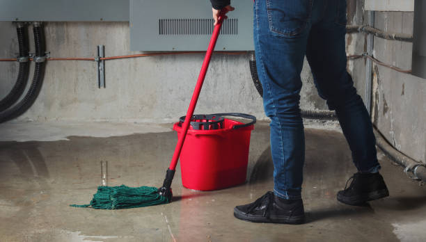 Best Flood restoration services  in Stottville, NY