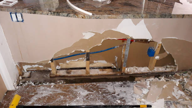 Best Water damage cleanup near me  in Stottville, NY