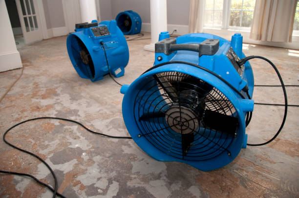Best Carpet water damage restoration  in Stottville, NY